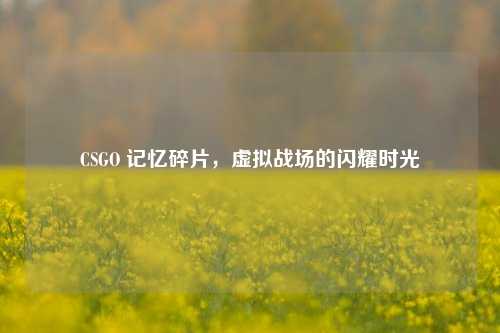 CSGO 记忆碎片,虚拟战场的闪耀时光
