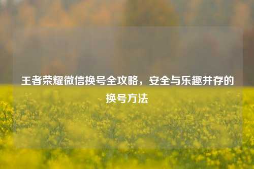 王者荣耀微信换号全攻略,安全与乐趣并存的换号方法