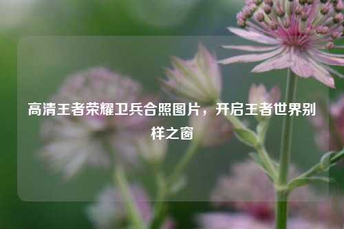 高清王者荣耀卫兵合照图片,开启王者世界别样之窗