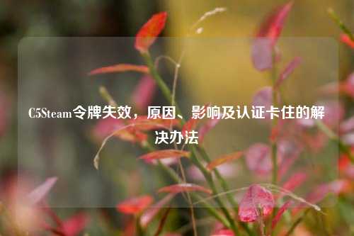 C5Steam令牌失效,原因、影响及认证卡住的解决办法