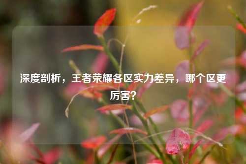 深度剖析,王者荣耀各区实力差异,哪个区更厉害?