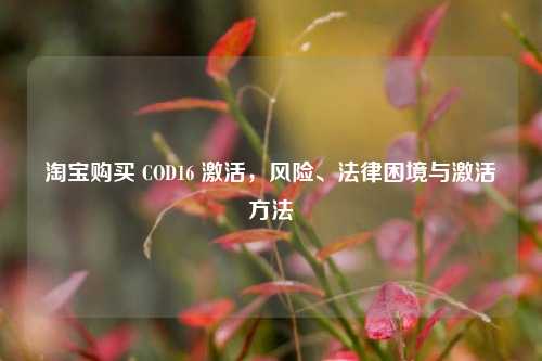 淘宝购买 COD16 激活,风险、法律困境与激活方法