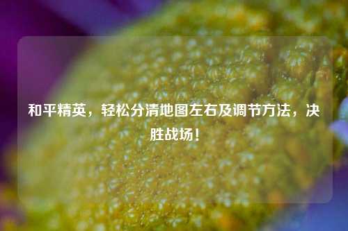 和平精英,轻松分清地图左右及调节方法,决胜战场!