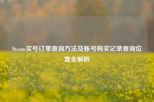 Steam买号订单查询方法及账号购买记录查询位置全解析