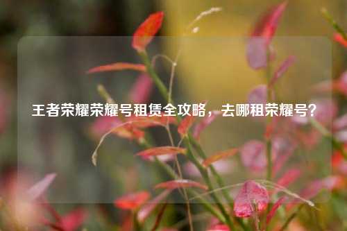 王者荣耀荣耀号租赁全攻略,去哪租荣耀号?