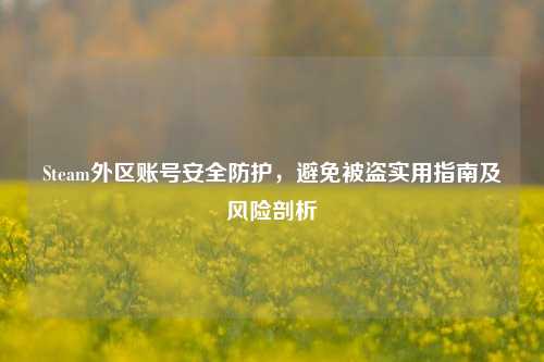 Steam外区账号安全防护,避免被盗实用指南及风险剖析