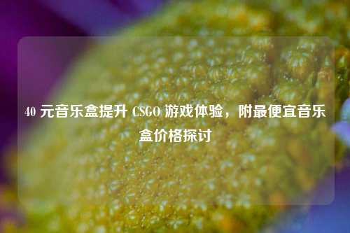 40 元音乐盒提升 CSGO 游戏体验,附最便宜音乐盒价格探讨