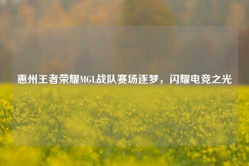 惠州王者荣耀MGL战队赛场逐梦，闪耀电竞之光
