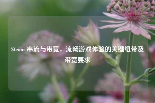 Steam 串流与带宽,流畅游戏体验的关键纽带及带宽要求
