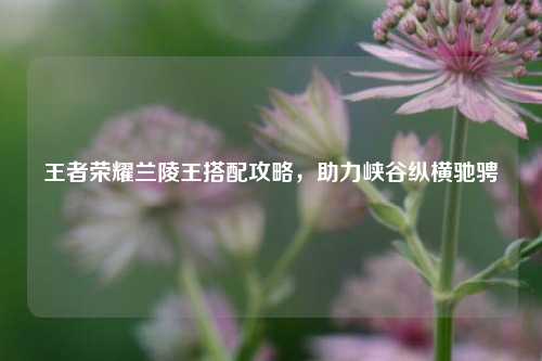 王者荣耀兰陵王搭配攻略,助力峡谷纵横驰骋