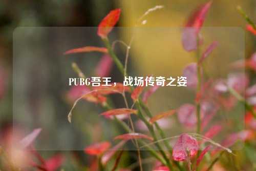 PUBG吾王,战场传奇之姿