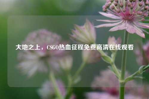 大地之上，CSGO热血征程免费高清在线观看