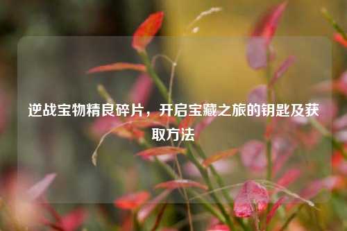 逆战宝物精良碎片,开启宝藏之旅的钥匙及获取方法