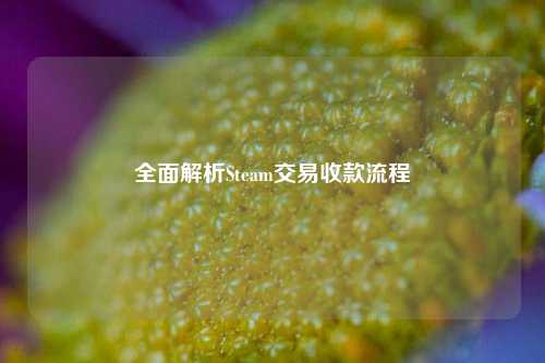 全面解析Steam交易收款流程
