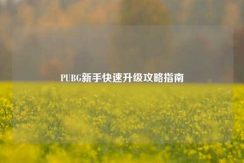 PUBG新手快速升级攻略指南