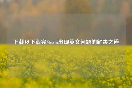 下载及下载完Steam出现英文问题的解决之道