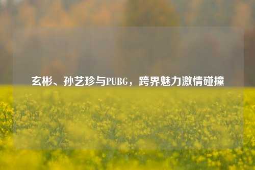 玄彬、孙艺珍与PUBG,跨界魅力激情碰撞