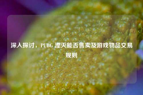 深入探讨,PUBG 湮灭能否售卖及游戏物品交易规则