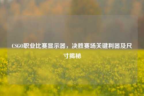CSGO职业比赛显示器,决胜赛场关键利器及尺寸揭秘