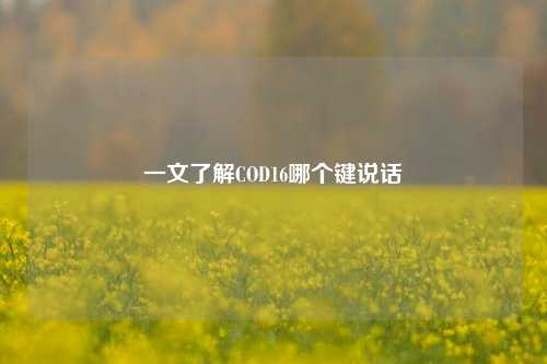 一文了解COD16哪个键说话
