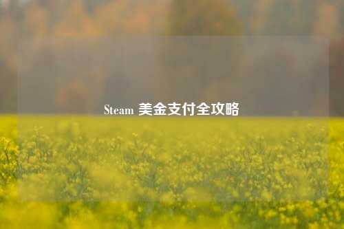 Steam 美金支付全攻略