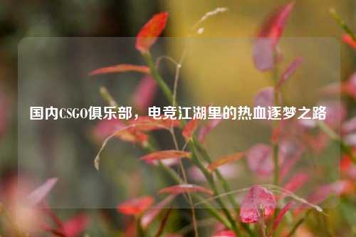 国内CSGO俱乐部,电竞江湖里的热血逐梦之路