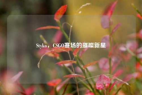 Styko,CSGO赛场的璀璨新星