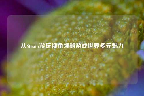 从Steam游玩视角领略游戏世界多元魅力