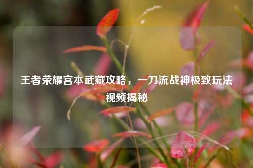 王者荣耀宫本武藏攻略,一刀流战神极致玩法视频揭秘