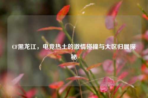 CF黑龙江,电竞热土的激情碰撞与大区归属探秘