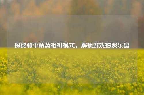 探秘和平精英相机模式,解锁游戏拍照乐趣