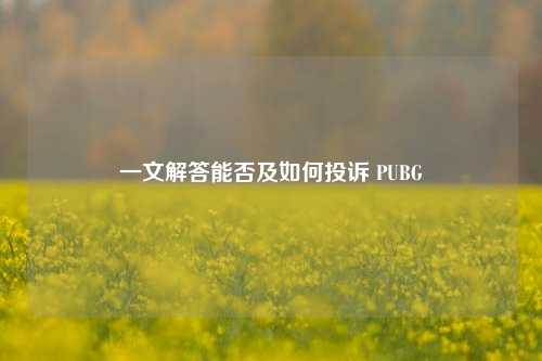 一文解答能否及如何投诉 PUBG