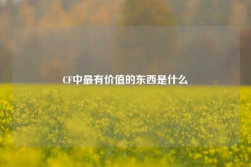 CF中最有价值的东西是什么