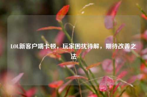 LOL新客户端卡顿，玩家困扰待解，期待改善之法