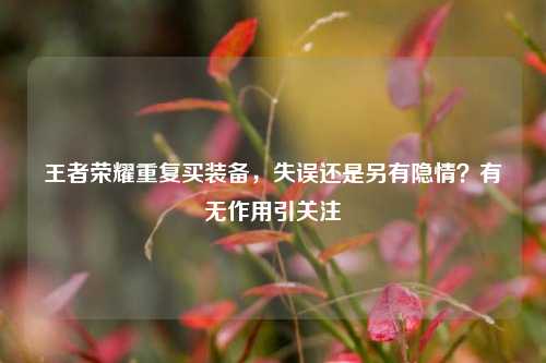 王者荣耀重复买装备,失误还是另有隐情?有无作用引关注