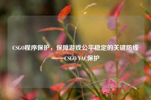 CSGO程序保护,保障游戏公平稳定的关键防线——CSGO VAC保护