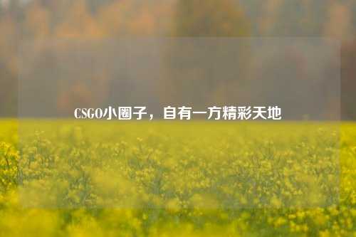 CSGO小圈子,自有一方精彩天地