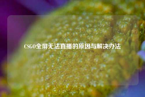 CSGO全屏无法直播的原因与解决办法