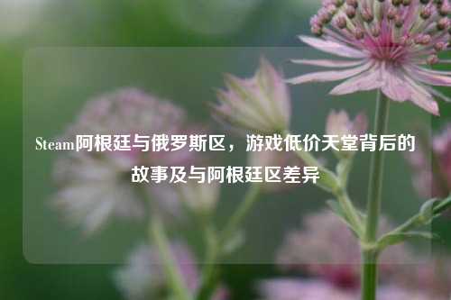 Steam阿根廷与俄罗斯区,游戏低价天堂背后的故事及与阿根廷区差异
