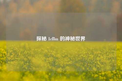 探秘 1cf8m 的神秘世界