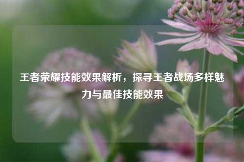 王者荣耀技能效果解析,探寻王者战场多样魅力与最佳技能效果
