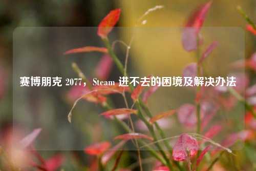 赛博朋克 2077,Steam 进不去的困境及解决办法
