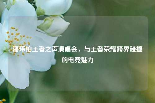 潘玮柏王者之声演唱会，与王者荣耀跨界碰撞的电竞魅力