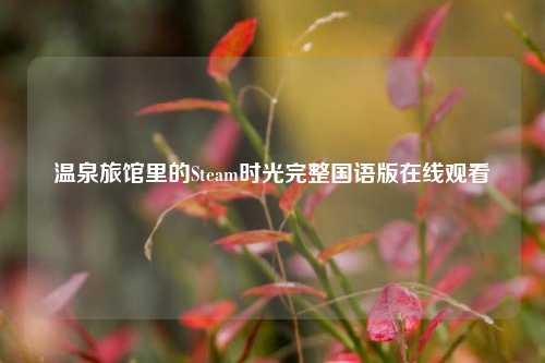 温泉旅馆里的Steam时光完整国语版在线观看