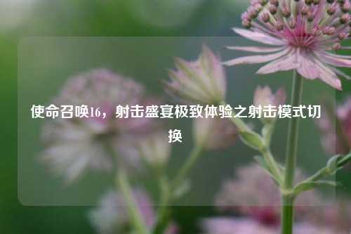 使命召唤16,射击盛宴极致体验之射击模式切换