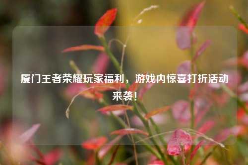 厦门王者荣耀玩家福利,游戏内惊喜打折活动来袭!