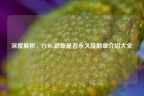 深度解析,PUBG勋章是否永久及勋章介绍大全