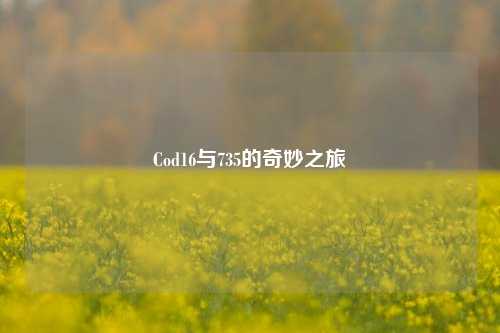 Cod16与735的奇妙之旅