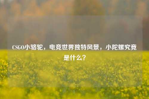 CSGO小骆驼,电竞世界独特风景,小陀螺究竟是什么?