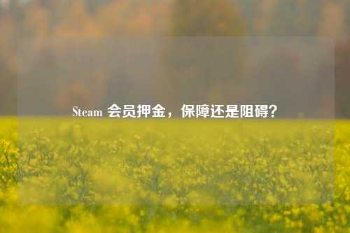 Steam 会员押金,保障还是阻碍?